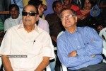 Maa Annayya Bangaram Movie Audio Launch Photos - 27 of 86
