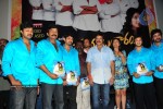 Maa Annayya Bangaram Movie Audio Launch Photos - 29 of 86