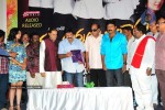 Maa Annayya Bangaram Movie Audio Launch Photos - 34 of 86