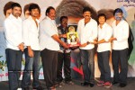 Maa Annayya Bangaram Movie Platinum Disc Function  - 3 of 52