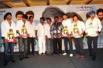 Maa Annayya Bangaram Movie Platinum Disc Function  - 5 of 52