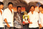 Maa Annayya Bangaram Movie Platinum Disc Function  - 52 of 52