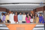 Maaya Mahal Audio Success Meet - 14 of 29