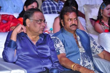 Mama Manchu Alludu Kanchu Audio Launch 4 - 29 of 84