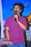 manasara-movie-success-meet