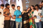 mantra-2-movie-audio-launch