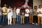 meera-movie-audio-launch