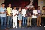 meera-movie-audio-launch