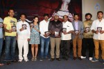 meera-movie-audio-launch