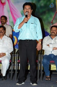 Memu Movie Release Press Meet - 14 of 30