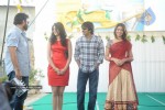 Mirapakai Movie Opening Stills - 39 of 93