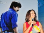 mirapakaya-movie-audio-launch