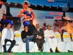 mirapakaya-movie-audio-launch