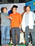 mirapakaya-movie-audio-launch