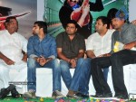 mirapakaya-movie-audio-launch