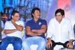 mirapakaya-movie-success-meet