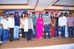 mirapakaya-movie-success-meet