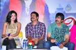 mirapakaya-movie-success-meet