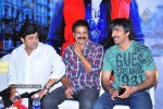 mirapakaya-movie-success-meet