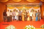 Mohana Sanghavi Wedding Reception - 18 of 48