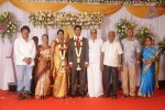 Mohana Sanghavi Wedding Reception - 20 of 48