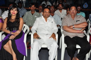 Money is Honey Movie Audio Launch - 23 of 35