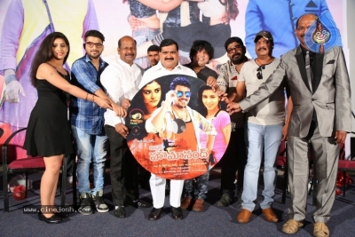 Mr Homanand Movie Audio Launch - 3 of 12