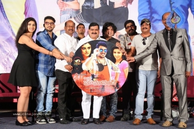 Mr Homanand Movie Audio Launch - 5 of 12