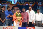 mukunda-movie-audio-launch-04