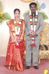 Music Director Kapileshwar Wedding Reception - 4 of 16