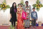Music Director Kapileshwar Wedding Reception - 8 of 16