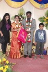 Music Director Kapileshwar Wedding Reception - 13 of 16