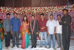 Music Director Sekhar Chandra Wedding Reception - 67 of 121