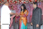 Music Director Sekhar Chandra Wedding Reception - 68 of 121