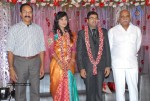 Music Director Sekhar Chandra Wedding Reception - 71 of 121