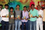 naa-karma-kali-poyindi-movie-audio-launch