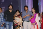 naayak-movie-audio-launch-06