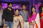 naayak-movie-audio-launch-06