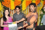 naga-chaitanya-new-movie-opening-stills