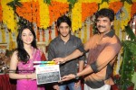 naga-chaitanya-new-movie-opening-stills