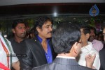 Nagarjuna Launches Kalyan Jewellers - 45 of 98