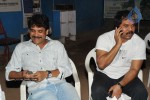 Nagarjuna Practice for T20 Tollywood Trophy Photos - 25 of 115