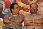 Nagavalli Movie Success Meet - 31 of 104