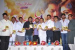 Nanda Nanditha Movie Audio Launch - 7 of 20