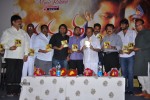 Nanda Nanditha Movie Audio Launch - 15 of 20