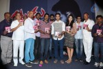 natudu-movie-audio-launch