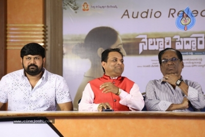 Nelluri Pedda Reddy Movie Audio Launch Photos - 2 of 12
