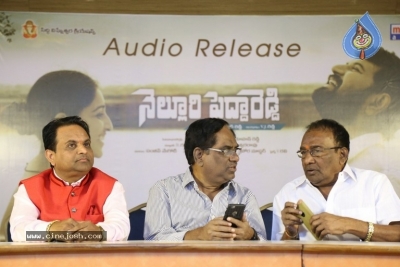 Nelluri Pedda Reddy Movie Audio Launch Photos - 4 of 12