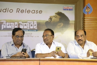 Nelluri Pedda Reddy Movie Audio Launch Photos - 9 of 12