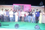 nenu-naa-friends-audio-launch